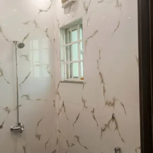 profprops-8-marla-house-bath-1